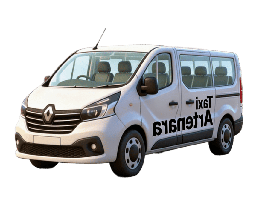 Taxi Artenara Inv